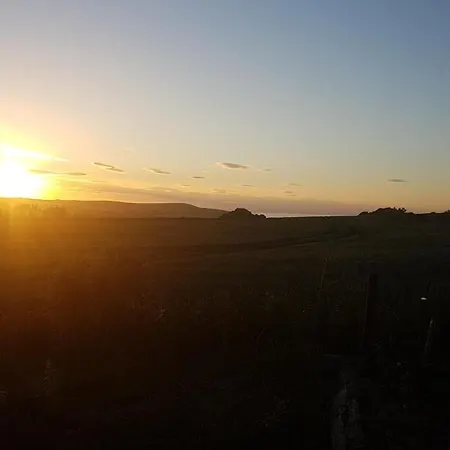 Wheelhouse - Grinkle Bell 4*