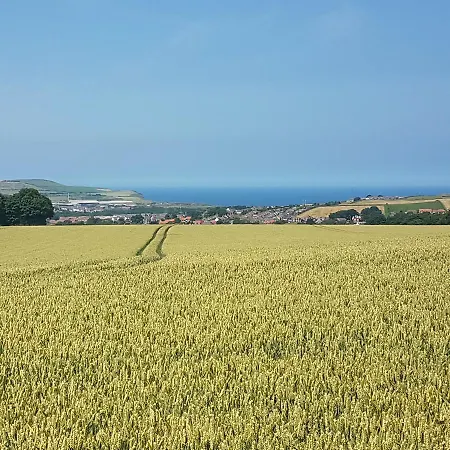 Wheelhouse - Grinkle Bell بيت ضيافة 4*